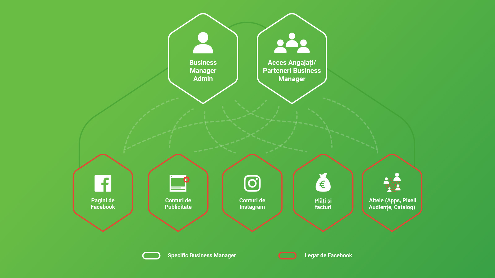 business facebook manager chart