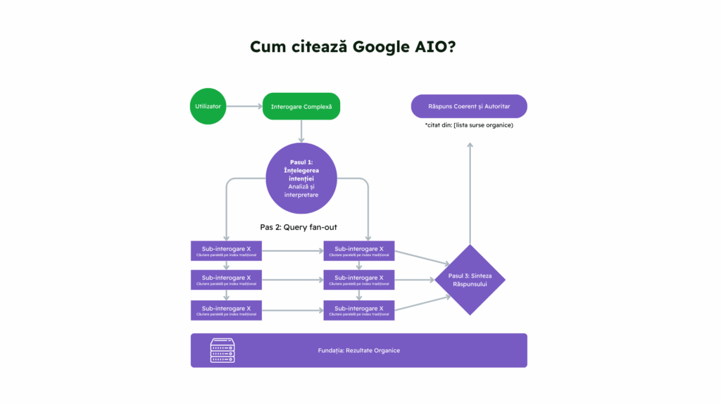 Cum citeaza raspunsuri Google AI Overviews