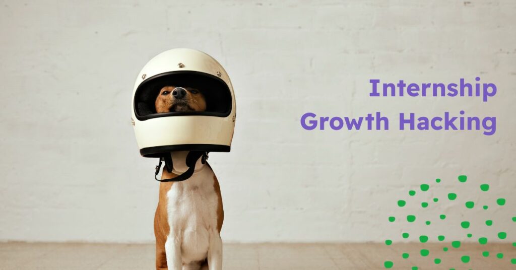 Internship Growth Hacking SMARTERS