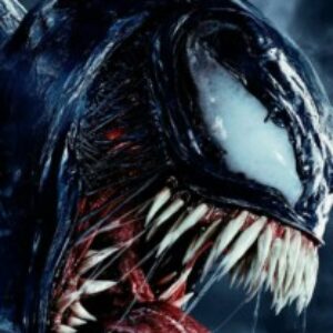 Fotografia de profil a octav