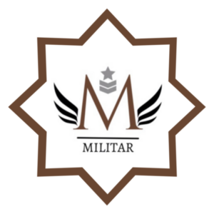 Profile photo of Mircea Militar